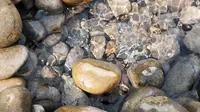流淌在诗经里的河淇河（淇河国家湿地公园旅游日记）