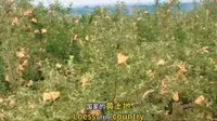 #洛川是个神奇的地方 #国家黄土地质公园#锁住时光.中国#海纳星空传媒