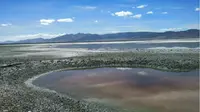 阿里环线第八天，扎布耶盐湖，野生小动物～湖面和天空各是一面镜子，倒映着纯粹的美和生命。