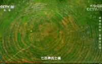 短视频：喀斯特地貌—七百弄洼地的成因