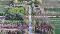 黄泛区生态园
