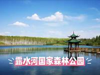 探秘长白山下的“红松故乡”：露水河国家森林公园全攻略