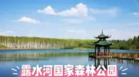 探秘长白山下的“红松故乡”：露水河国家森林公园全攻略