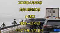 2025年4月30号，阿坝县到红原县，神座景区这里大堵车，已经堵得一动不动了，可以下车斗地主煮火锅了，目前应该已经堵了几公里了#自驾游#川西#阿坝#莲宝叶则