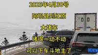2025年4月30号，阿坝县到红原县，神座景区这里大堵车，已经堵得一动不动了，可以下车斗地主煮火锅了，目前应该已经堵了几公里了#自驾游#川西#阿坝#莲宝叶则