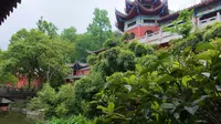 赤松结茅 黔灵山 弘福寺