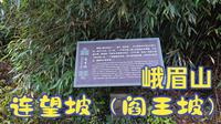 【徒步】峨眉山徒步_连望坡（阎王坡）_全程记录