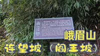 【徒步】峨眉山徒步_连望坡（阎王坡）_全程记录