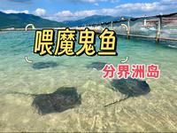 海南陵水·分界洲岛，喂魔鬼鱼啦
