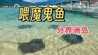 海南陵水·分界洲岛，喂魔鬼鱼啦