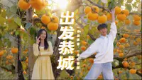 刷爆朋友圈的恭城玩法！红岩村柿子林+非遗油茶奶茶，秋冬日治愈天花板。#桂林 #一键游广西 #恭城