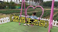 佛山之旅｜体验盈香生态园，一天根本玩不完