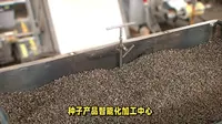 探秘内蒙古蒙草·草博园——自然与科技之旅