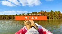 划皮艇去触碰上海的秋天 | 海湾国家森林公园