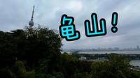 武汉龟山风景区