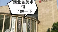 湖北省美术馆（lmy）