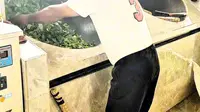 双江县勐库镇茶区游玩