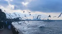 昆明海埂大坝东码头