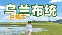 夏天草原正当时，论草原的丰富性还得是乌兰布统！