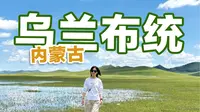 夏天草原正当时，论草原的丰富性还得是乌兰布统！