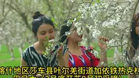 喀什地区莎车县叶尔羌街道加依铁热克村巴旦木（3月底开花9月初采摘）