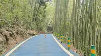 梁平百里竹海