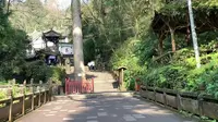 青城山正门实拍-天然图画1