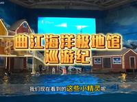2025-7月西安曲江海洋极地公园
