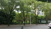 福州茶亭公园街道实拍
