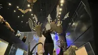 中国古动物馆·保定自然博物馆