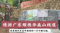 慢游广东顺德华盖山栈道
