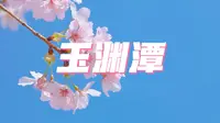 玉渊潭公园花开