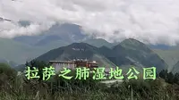 探秘西藏拉萨：拉鲁湿地揭秘