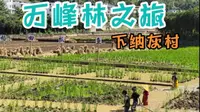 兴义万峰林布依村寨下纳灰村，看古桥古榕树喝冰浆，碰上婚宴啦！