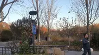 北京国际雕塑公园