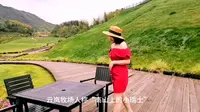 “高山上的小瑞士”浙江泰顺县云岚牧场