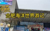 《在合肥海洋世界玩是什么体验》