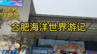 《在合肥海洋世界玩是什么体验》