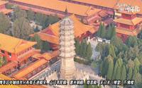 河北赵县柏林禅寺免费开放，柏林寺塔已600多年