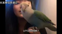 嘉峪关城市博物馆，一个城市的缩影