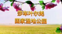 莎车叶尔羌国家湿地公园！