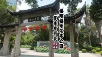 “福建福州茶亭公园”夏季有荷花