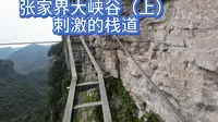 张家界大峡谷 上