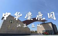 江苏盐城   中华麋鹿园