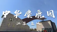 江苏盐城   中华麋鹿园