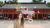兴庆宫公园赏花路线（打卡出片+游玩攻略）