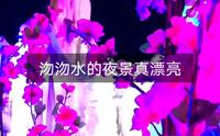 石家庄沕沕水的夜景真漂亮