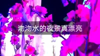 石家庄沕沕水的夜景真漂亮