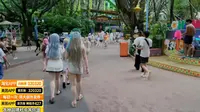月见兔-20260816-广州长隆水上泳装二次元派对