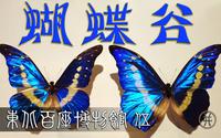 蝴蝶谷-吉林省自然博物馆【东北百座博物馆005-中】